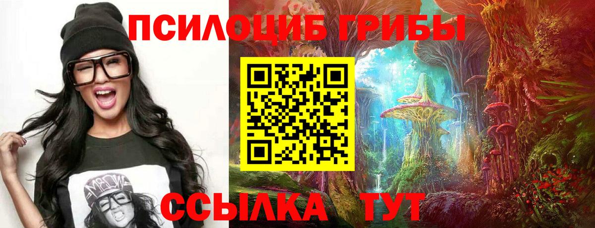 Кинель  Псилоцибиновые грибы GOLDEN TEACHER  Вход с VPN 
